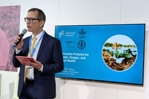 COP29, Bruce Friedrich Bruce Friedrich speaking at COP29